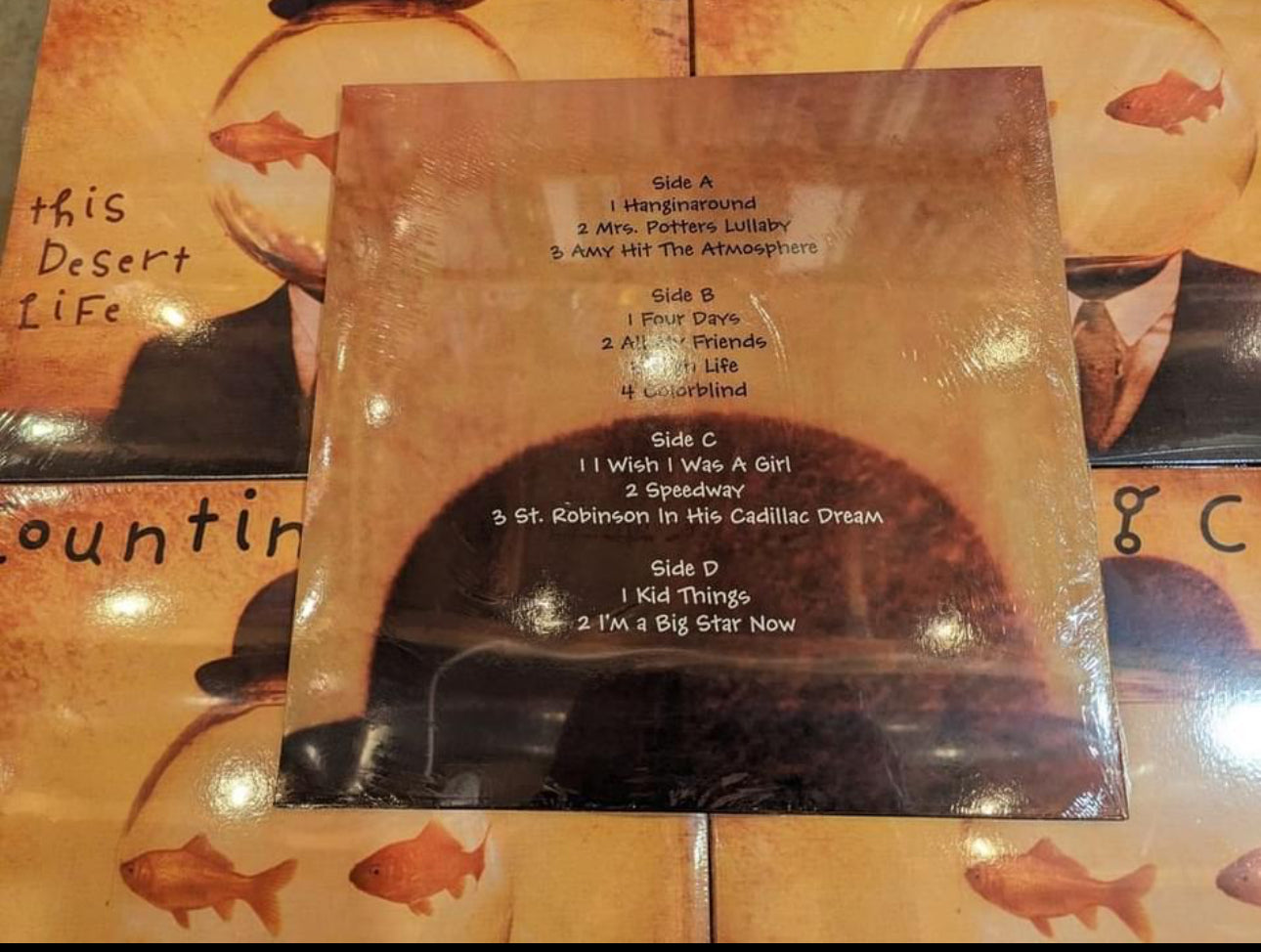 Counting Crows This Desert Life Vinyl