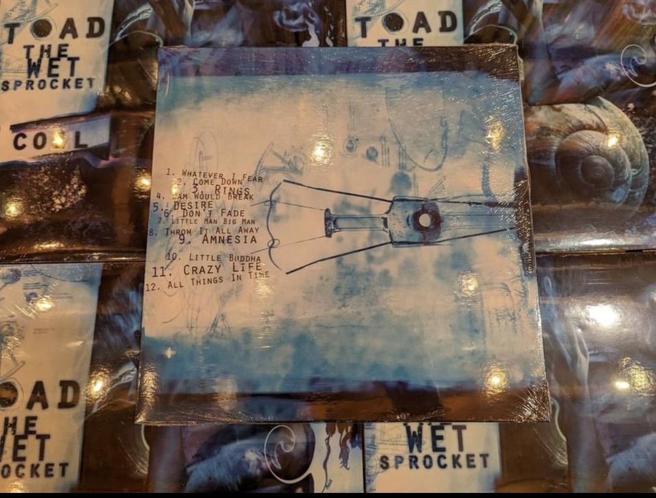 Toad The Wet Sprocket Coil Vinyl