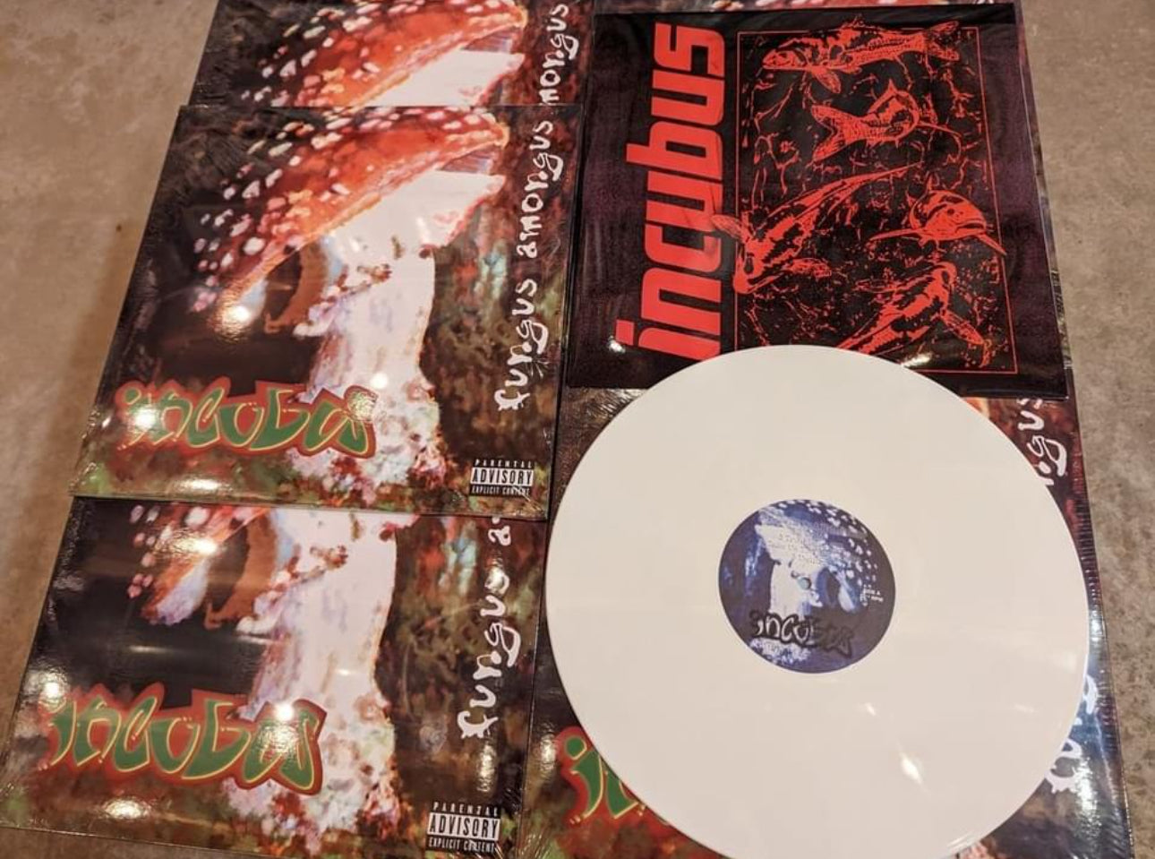 Incubus Fungus Amongus Vinyl