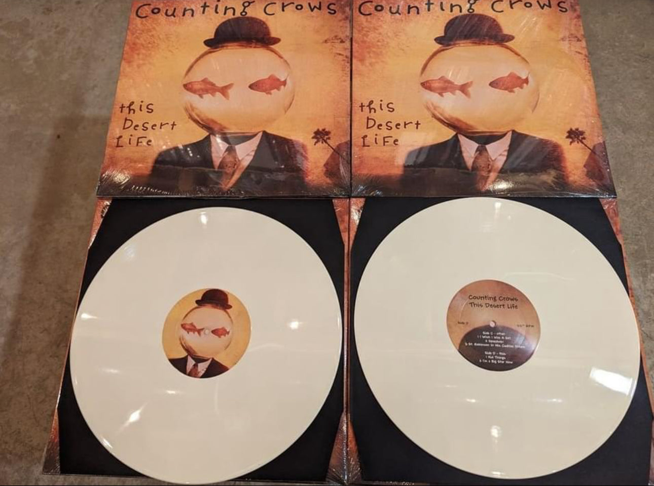 Counting Crows This Desert Life Vinyl