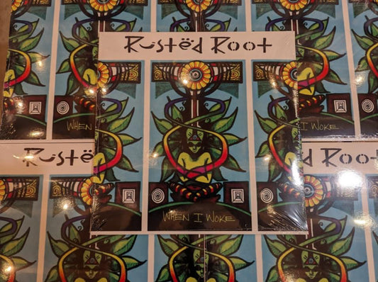 Rusted Root When I Woke Vinyl