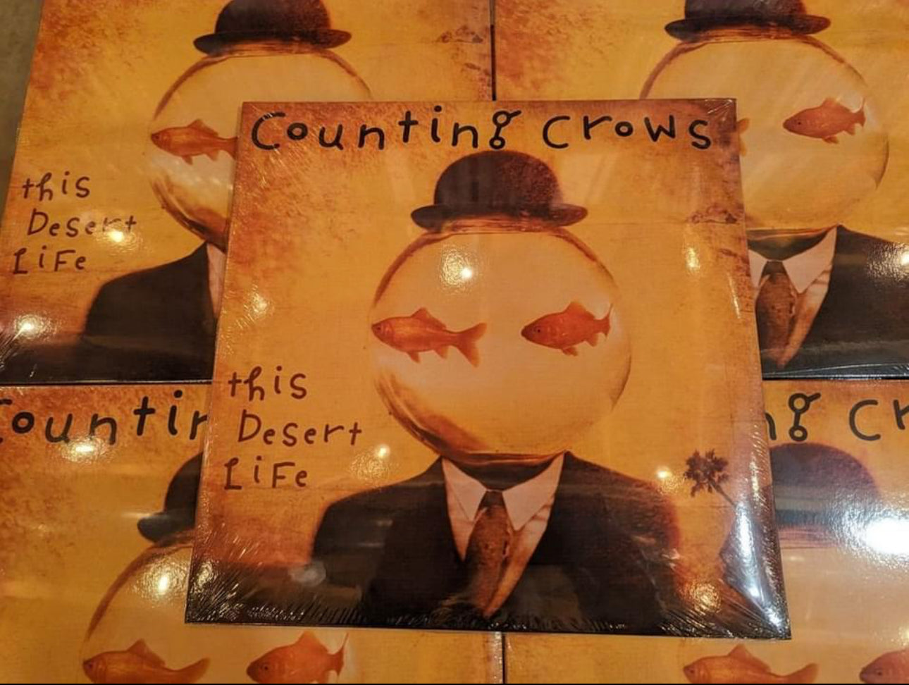 Counting Crows This Desert Life Vinyl