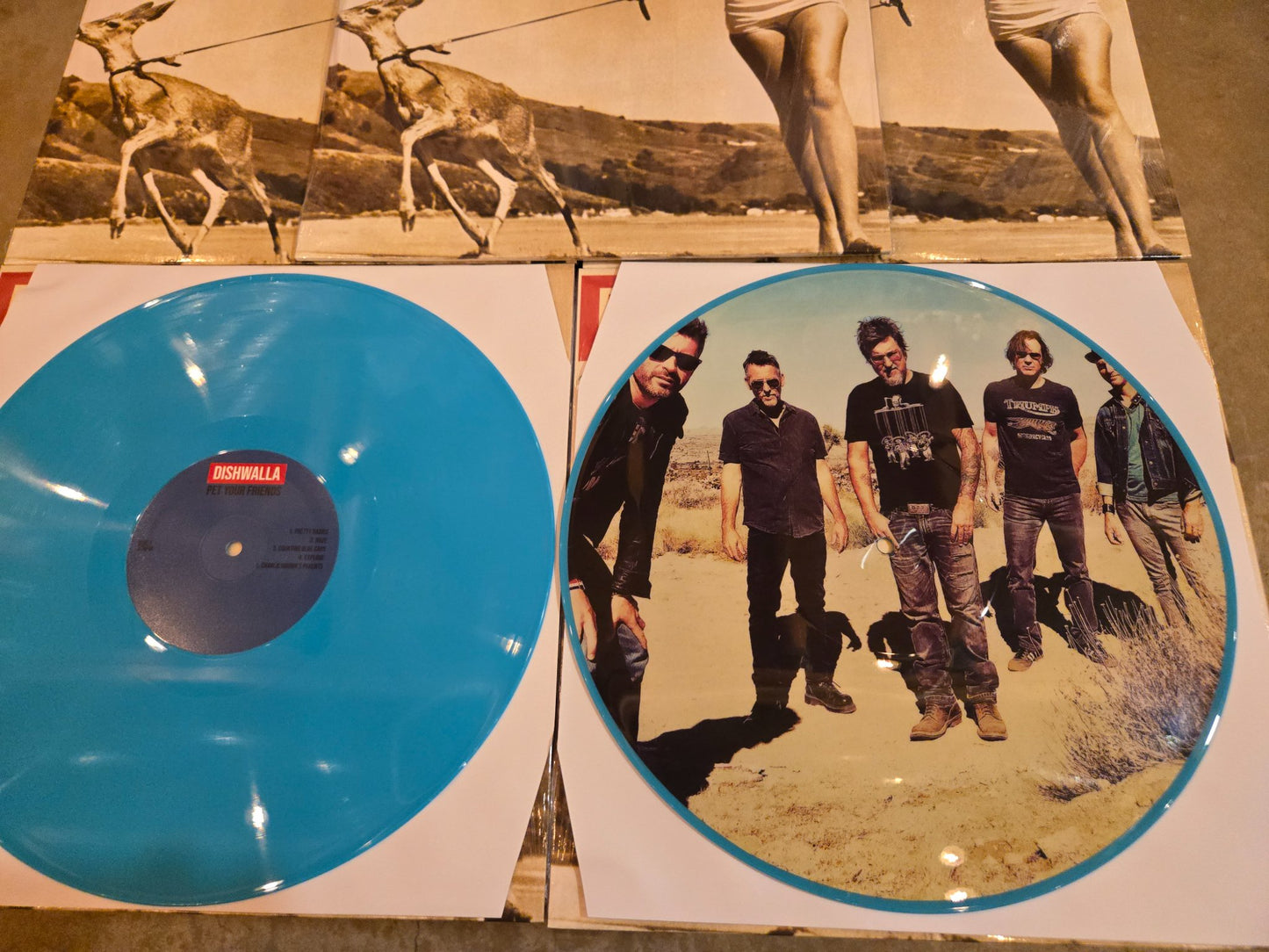 Dishwalla Pet Your Friends Vinyl