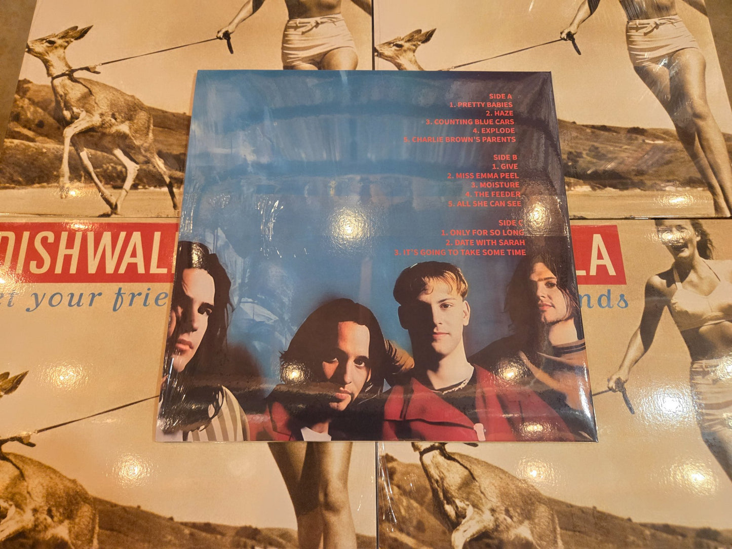Dishwalla Pet Your Friends Vinyl