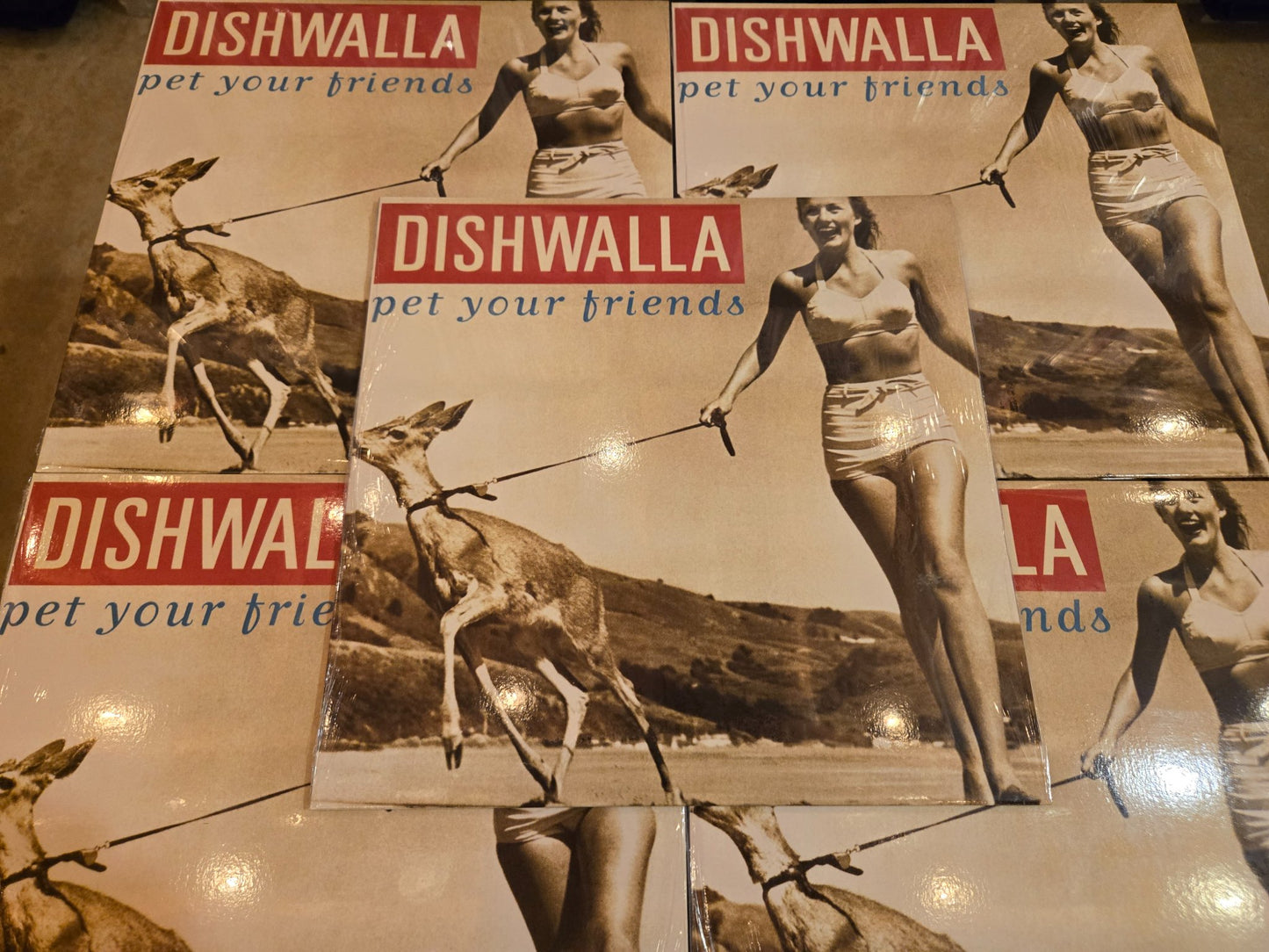 Dishwalla Pet Your Friends Vinyl